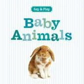 Baby Animals