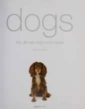 Dogs
