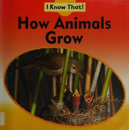 I Know That: How Animals Grow