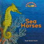 Sea Horses