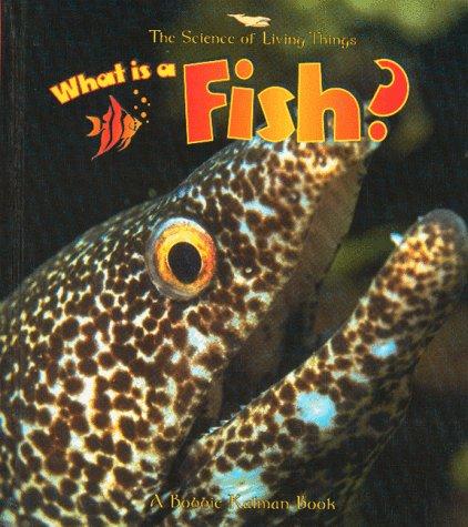 What Is A Fish