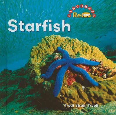 Starfish