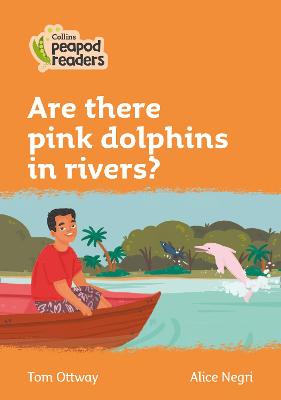 Level 4 - Are there pink dolphins in rivers?