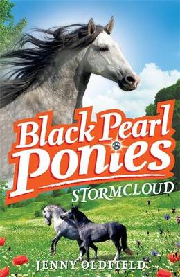 Black Pearl Ponies: Stormcloud: Book 4