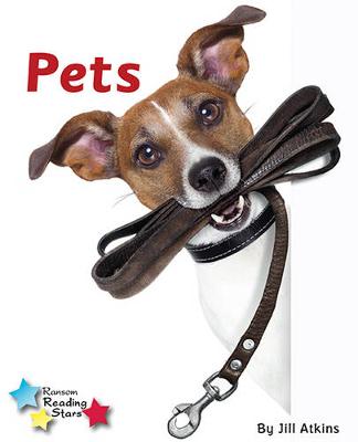Pets (Pack 6)