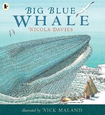 Big Blue Whale: Award-winning picture book about the blue whale,  with a gentle story and fascinating facts