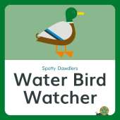 Water Bird Watcher
