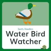 Water Bird Watcher