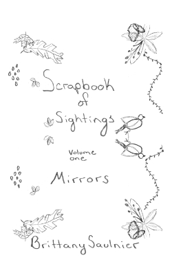 Scrapbook of Sightings: Volume One: Mirrors
