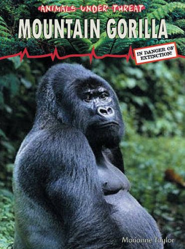 Mountain Gorilla