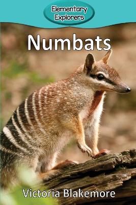 Numbats