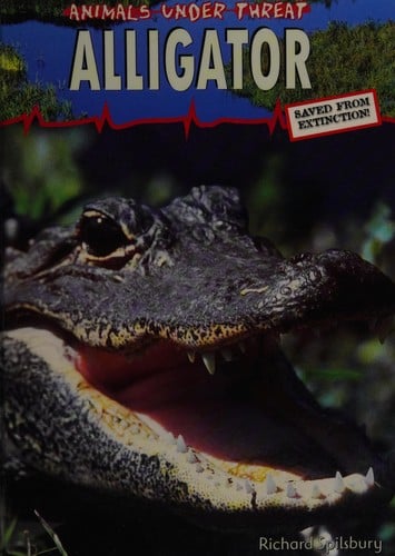 Alligator
