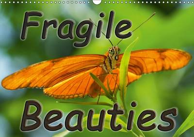 Fragile Beauties - Exotic Butterflies 2017: Spellbinding Photos of Various Exotic Butterflies in Their Natural Habitat.