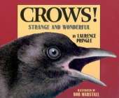 Crows!: Strange and Wonderful