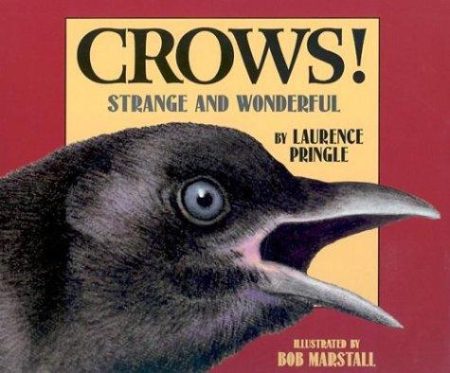 Crows!: Strange and Wonderful