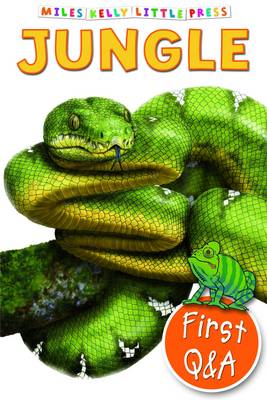 First Q & A - Jungle