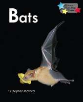 Bats (Pack 6)
