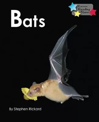 Bats (Pack 6)