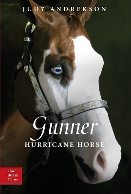 Gunner: Hurricane Horse