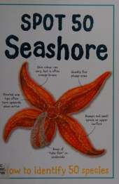 Spot 50 - Seashore