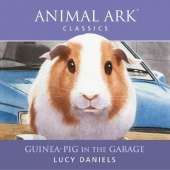 Guinea-pig in the Garage