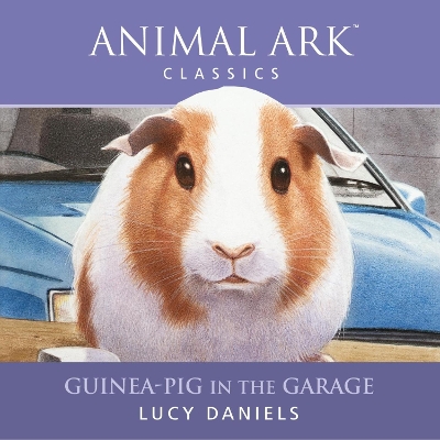 Guinea-pig in the Garage