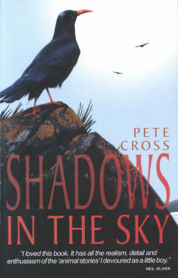 Shadows in the Sky