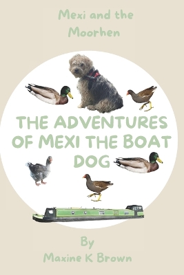 The Adventures of Mexi The Boat Dog: Mexi and the moorhen