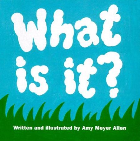 What Is It?