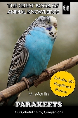 Parakeets: Our Colorful Chirpy Companions