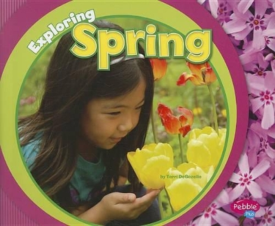 Exploring Spring