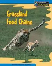 Grassland