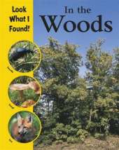Look What I Found!: In The Woods