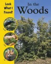 Look What I Found!: In The Woods