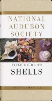 The Audubon Society Field Guide to North American Seashells