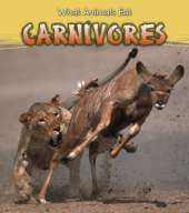 What Animals Eat