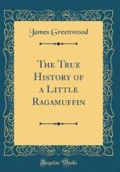 The True History of a Little Ragamuffin (Classic Reprint)
