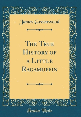 The True History of a Little Ragamuffin (Classic Reprint)