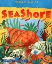 Seashore