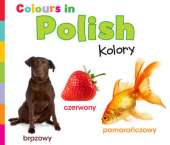 Colours in Polish: Kolory