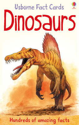 Hundreds of Dinosaur Facts Cards