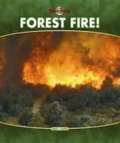 Nature's Fury: Forest Fire