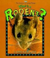 What is a Rodent?