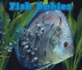 Fish Babies