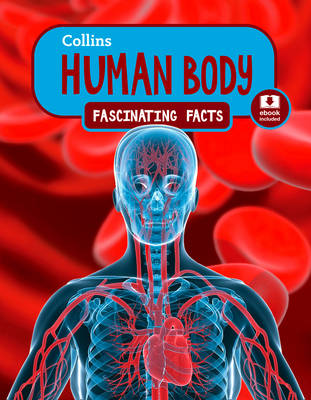 Human Body
