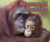 Mammal Babies