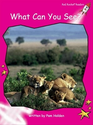 Red Rocket Readers: Emergent Non-Fiction Set A: What Can You See?