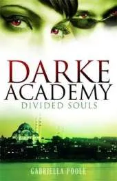 Divided Souls: Book 3