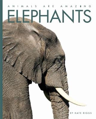 Elephants