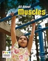 All About Muscles